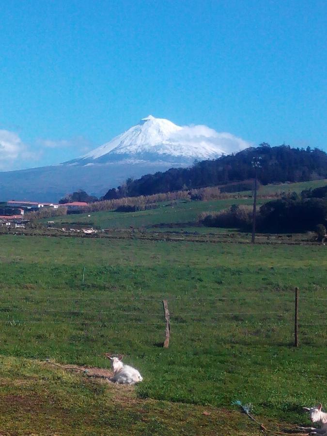 Quinta Do Vale Vendégház Horta  Kültér fotó